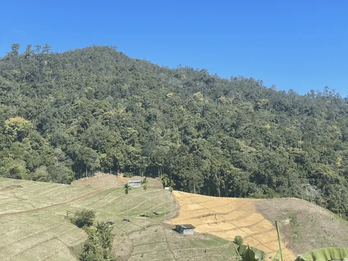 Thailand 2025 expedition